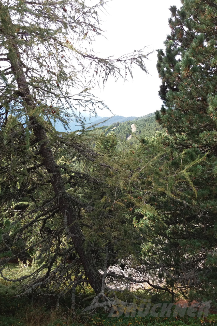 Südtirol, Brixen / Der Berg Plose