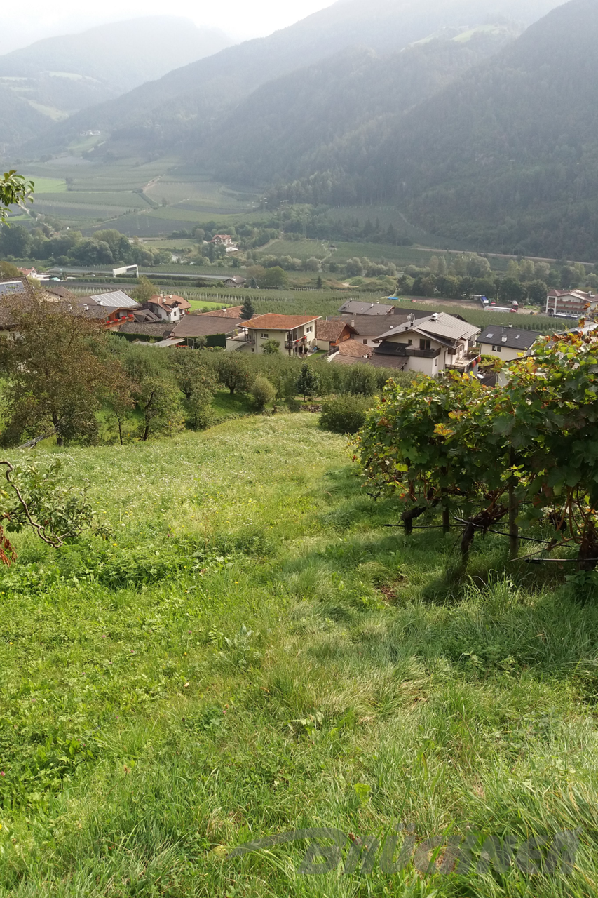 Südtirol, Scharmbach