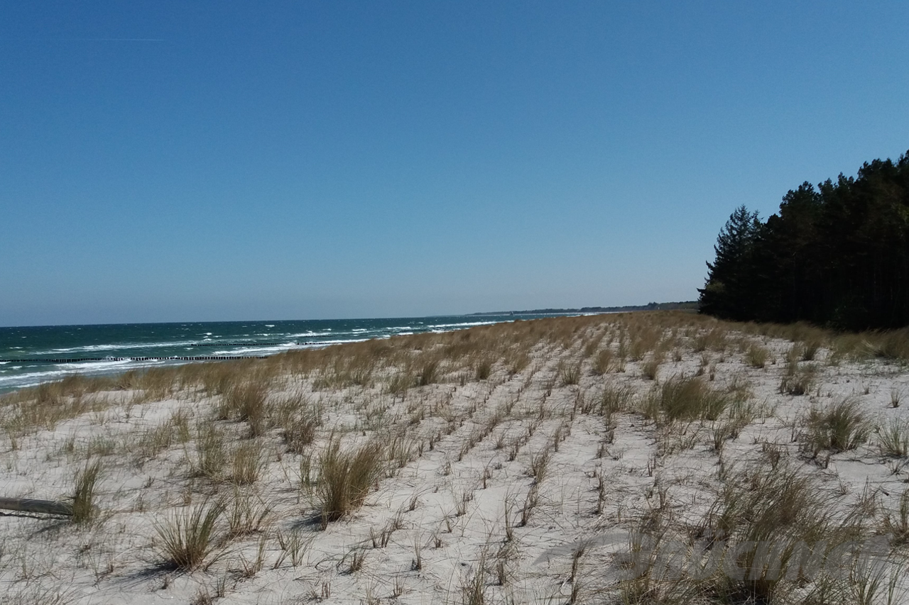 Strand auf dem Darss