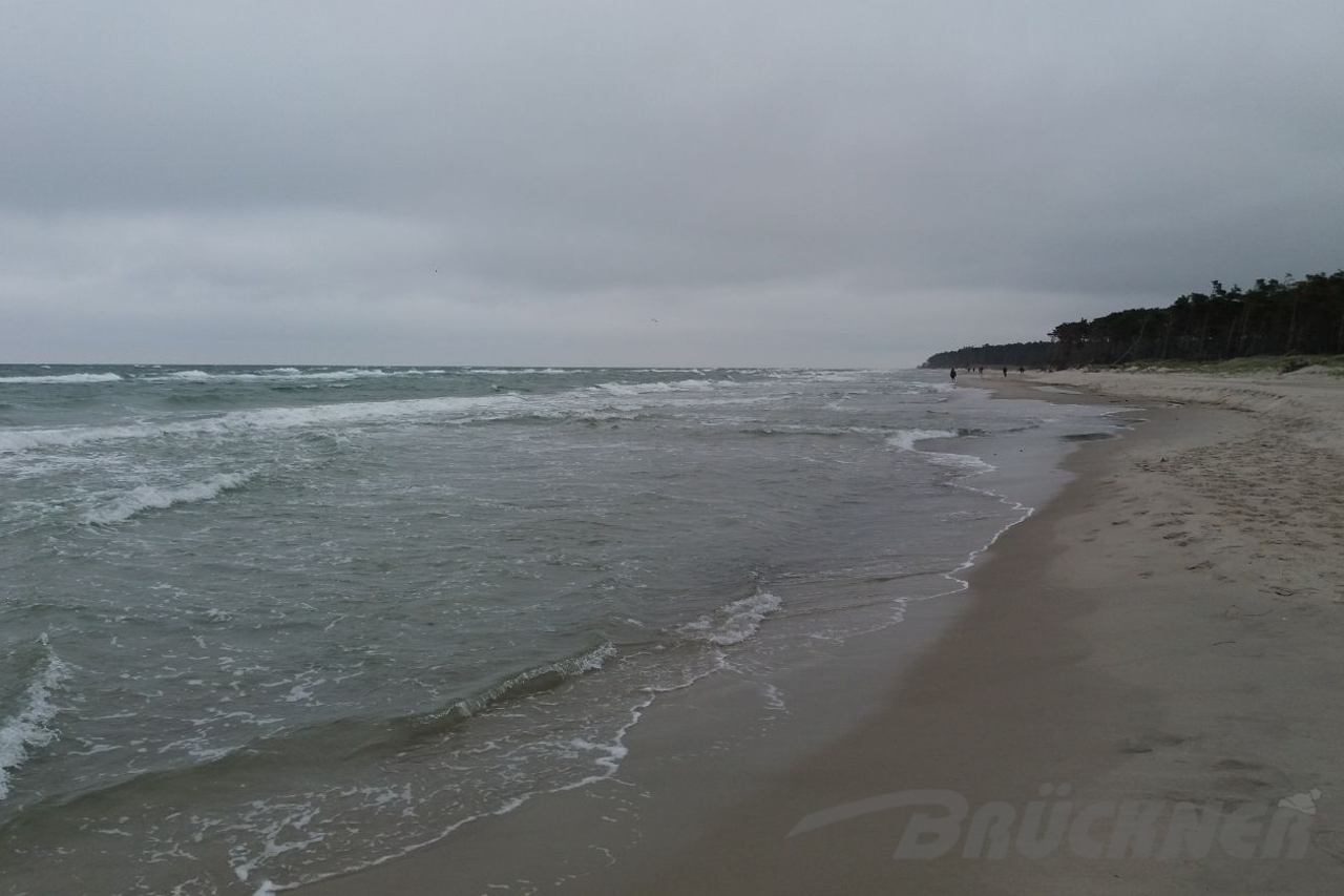 Strand auf dem Darss