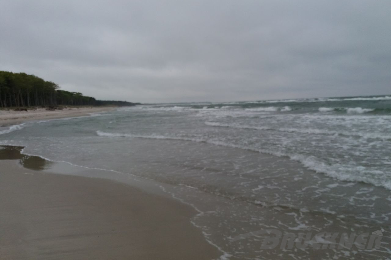Strand auf dem Darss